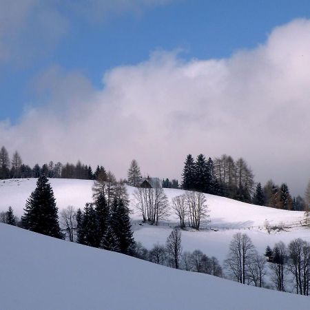 Villa Urlaub im Zirbenland Obdach Exterior foto