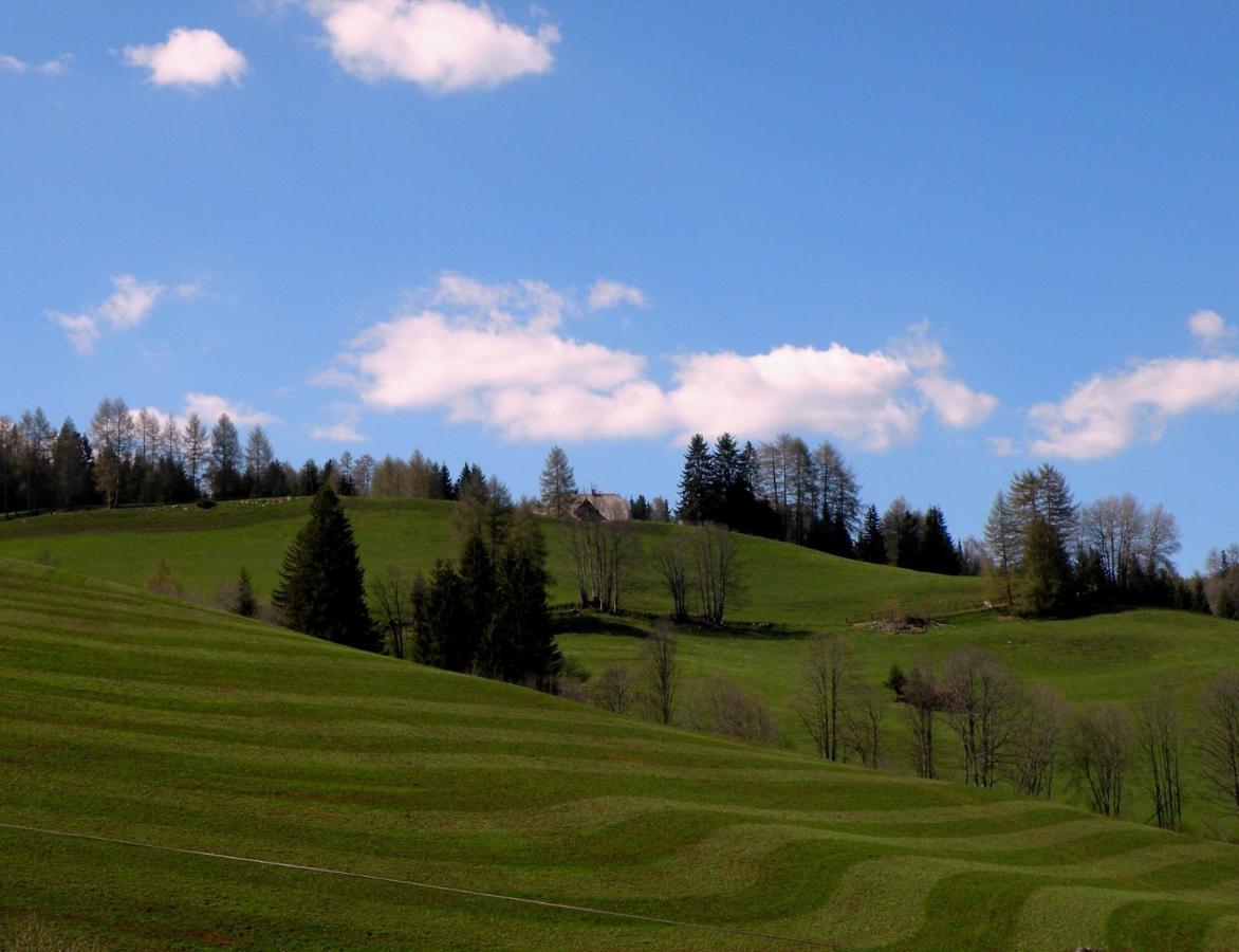 Villa Urlaub im Zirbenland Obdach Exterior foto