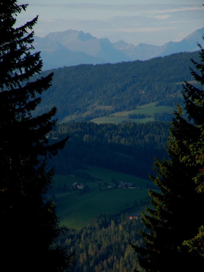 Villa Urlaub im Zirbenland Obdach Exterior foto